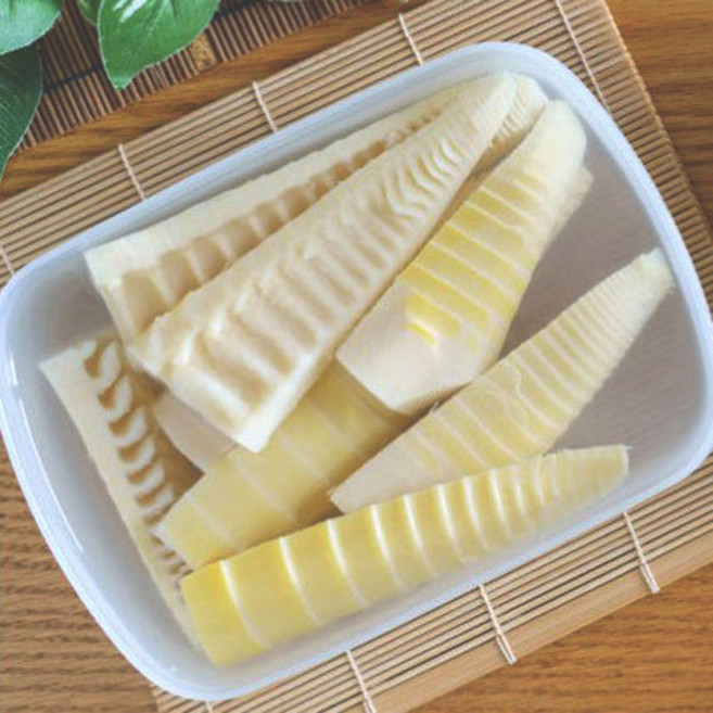 죽순 국내산 삶은죽순 소포장 죽순채 분죽순 데친 햇죽순 국산죽순, 10개, 300g