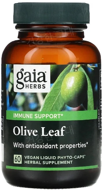 가이아허브 올리브리프 올리브잎 680mg 60정 OliveLeaf, 미국내수용 가이아 허브Olive Leaf 680mg 식, 1개 - 쿠팡