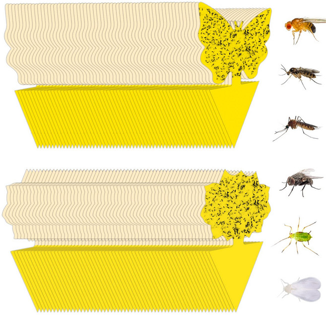 Stingmon 120 Pack Fruit Fly Trap for Indoors Fungus Gnat Killer Indoor Sticky Traps for Mosquito, N/A, 1개