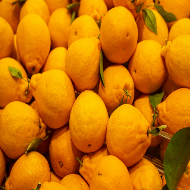 [5일한정세일] 농장직송 새콤달콤 제주 한라봉, 1개, 5kg