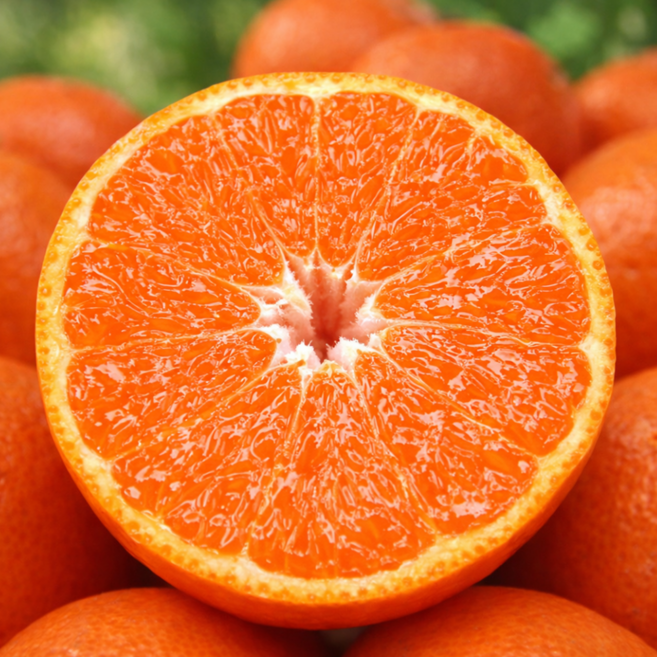 [명품농가] 제주 카라향 귤 최대16브릭스, 1박스, 3kg