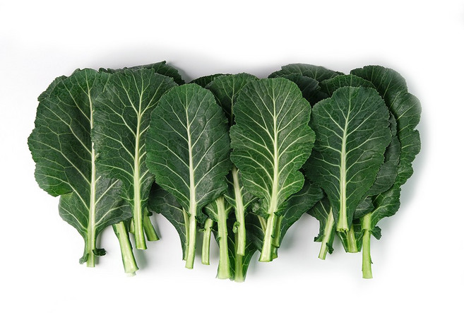 [당일수확] 국내산 케일 즙용 건강주스용 쌈채 쌈용 산지직송, 케일 1kg, 1개, 1kg