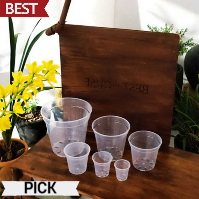 투명 화분 슬릿화분 고투명 플라스틱 표준형 6cm 삽목 화분 픽앤코401