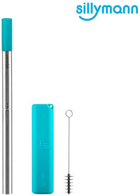 실리만 휴대용 스테인레스 스틸 버블티 빨대 세트 WSB2086 색상 민트 + 청소솔 및 보관케이스 포함, 1개, 1개