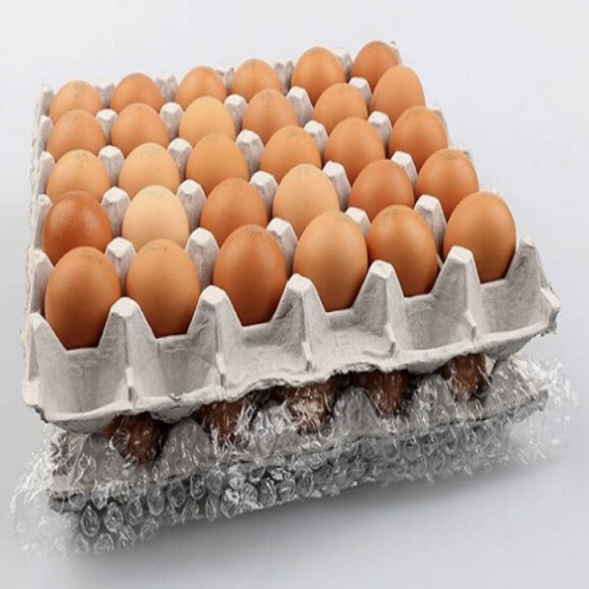 [우체국쇼핑] 알부자집 당일산란 무항생제 계란 60구(대란) 30구X2판, 2개, 30구