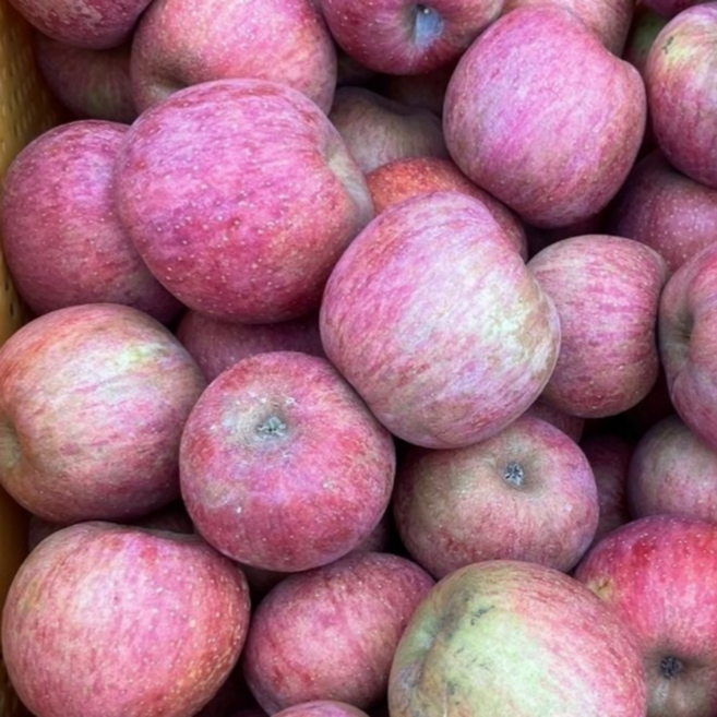 12Brix 초특가 경북 사과 가정용, 1박스, 10kg