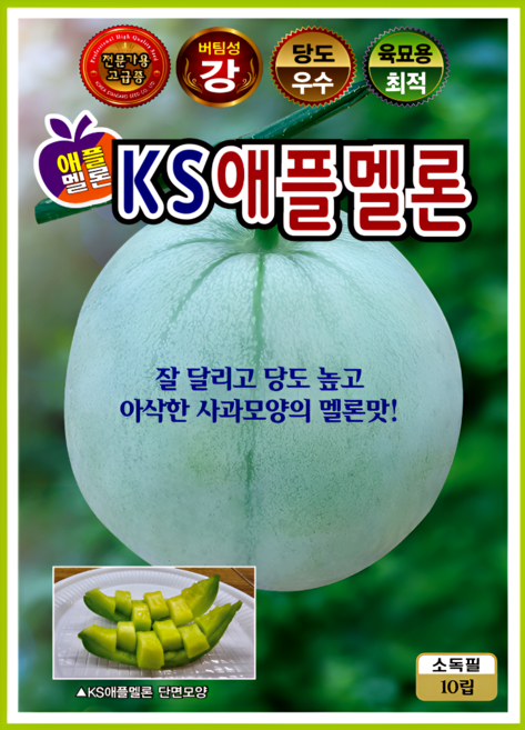 KS종묘 KS애플멜론 씨앗 10립 사과모양 고당도 멜론 종자 ks