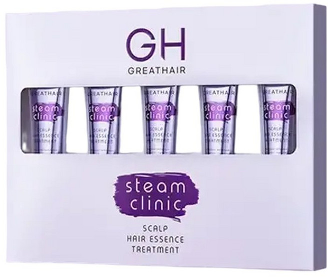 GH그레이트헤어 스팀클리닉 노워시 트리트먼트 중용량 1box, 1개