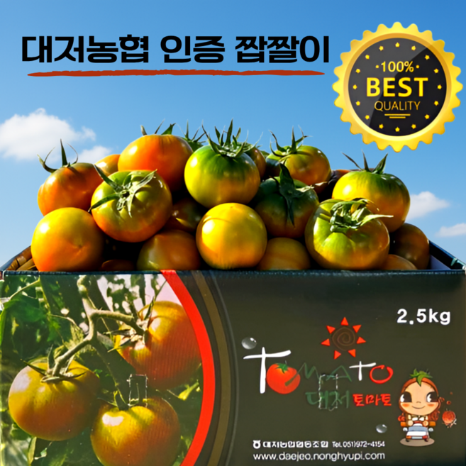 [농협인증] 정품 대저토마토 오리지널 짭짤이 부산 산지직송 2.5kg, 1개, M (실속과) 2.5kg