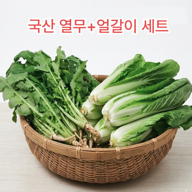 떳다맘 국산 어린열무+얼갈이 세트 겉절이 김치용, 1박스, 어린열무 3kg + 얼갈이 1kg(총4kg)