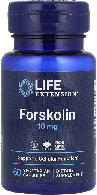 Life Extension 포스콜린 10mg 베지 캡슐 60정, LifeExtension포스콜린10mg베지캡슐60정, 1개 - 쿠팡