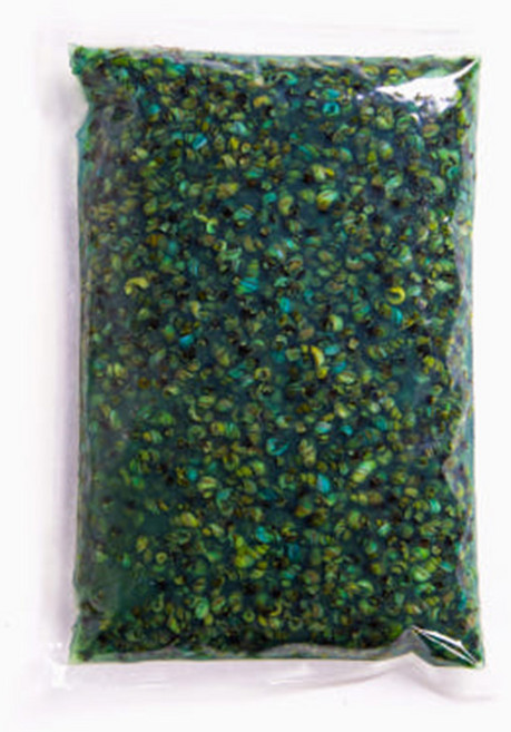산지직송 국내산 100% 자연산 다슬기 올갱이 깐다슬기, 1개, 1kg