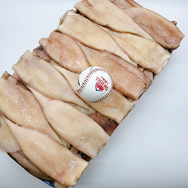 업소용/대용량 냉동 튜브오징어(120/150) / 포크오징어 몸살만 10kg 1박스 내장다리제거 손질, 1