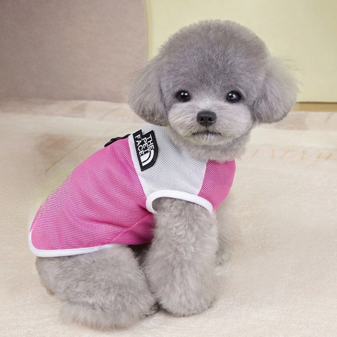 강아지 여름 옷 메쉬 망사 티 형광 나시 조끼 시원한 반려견 옷 리드줄 연결 하네스옷 파티젤리 강아지옷, 1개, 핑크