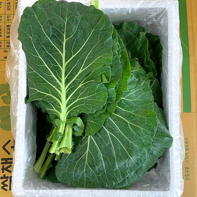 클로렐라 케일 쌈용 즙용 녹즙 주스용 1kg-1.5kg, 1박스, 클로렐라 케일 1kg (쌈용)