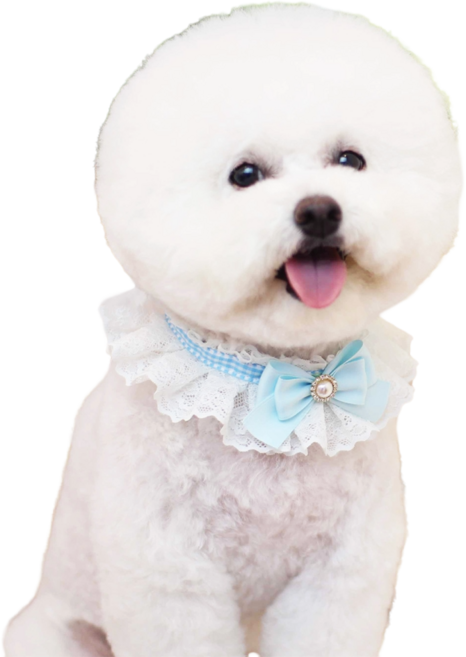 하니펫 반려동물 귀요미스카프 체크리본레이스, 1개, 민트