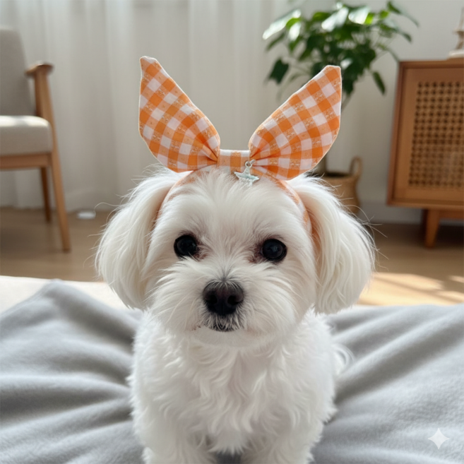 하니펫 반려동물 악세사리 머리핀 머리띠 빗살핀, 1개, 오렌지