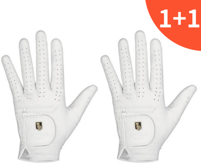 1+1 스카치글러브 천연양피 프리미엄 골프장갑, 1개