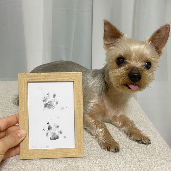 강아지발바닥찍기 강아지 발도장 액자 반려견 발자국 셀프 스탬프 689000AA (1EA)