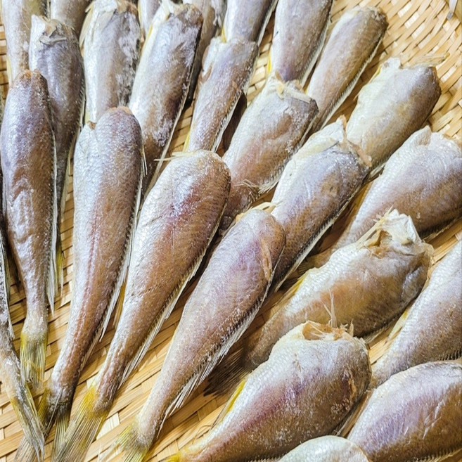 국산 목포 자연산 두절 조기 반건조 참조기, 1개, 500g