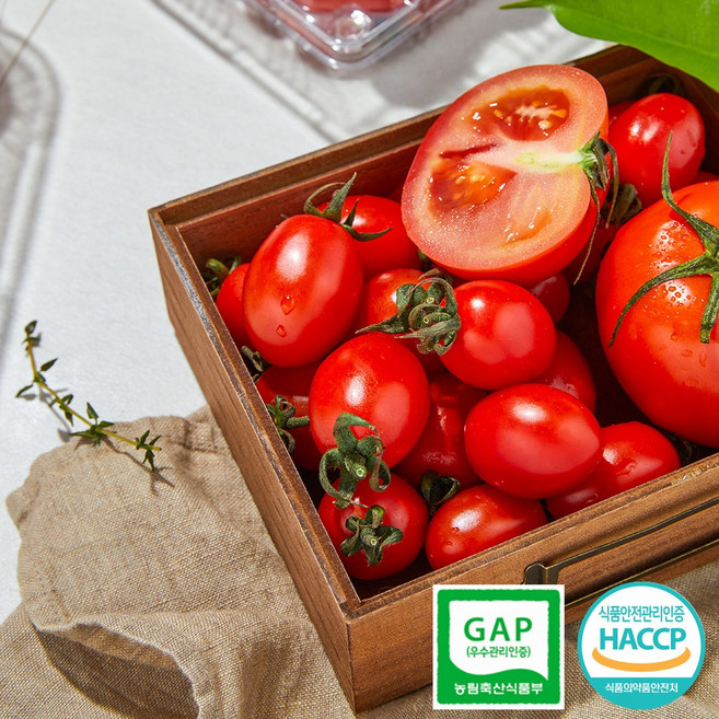 우듬지팜 산지직송 스테비아 방울토망고 500g 달싱상회, 1개