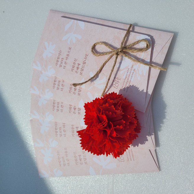 [아뜰리에드비비] 어버이날 카네이션 용돈봉투 5P 세트 부모님 감사 편지봉투 레드, 1개, 핑크베이지