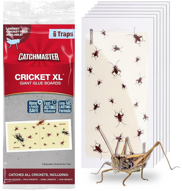 Catchmaster Cricket XL 자이언트 접착제 보드 6팩 실내 접착 벌레 포수 크리켓 트랩 집 내부를 위한 끈적한 벌크 곤충 킬러 및 차고용 가정용 해충 방제, 6 Traps, 1개