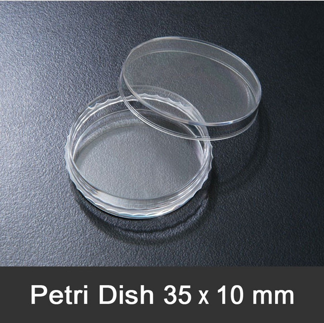 SPL 페트리디쉬 35x10mm (20개/pk) 미생물 배양 Petri dish 10035