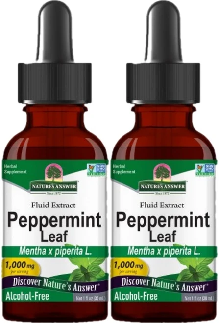 네이처스앤서 고흡수 페퍼민트 잎 1000mg 액상 액체, 30ml, 2개 - 쿠팡