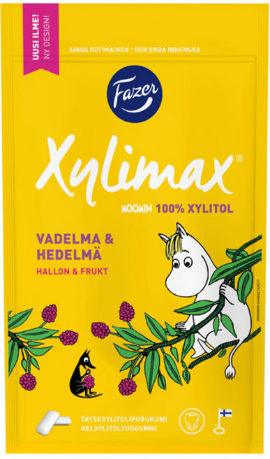 질리맥스 무민 자일리톨 과일맛 츄잉껌, 100g, 1개