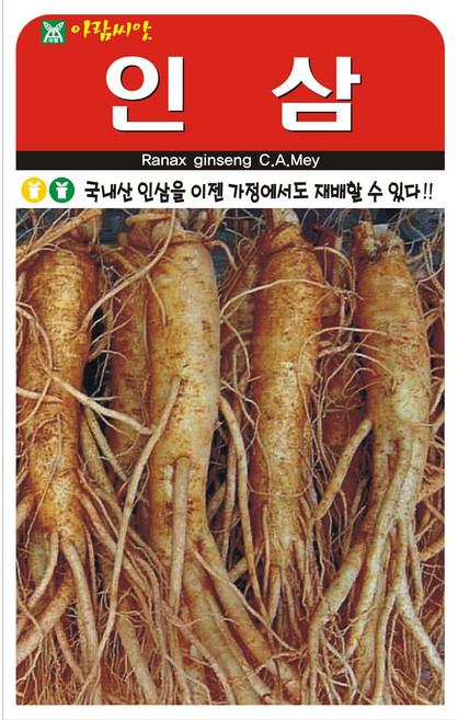 아람종묘 인삼 씨앗 100립 국내산 햇종자 인삼씨 약초 종자, 1개