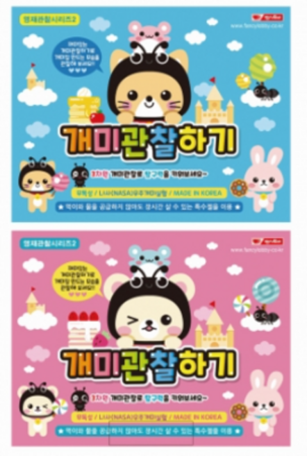 팬시로비 개미관찰하기 먹이 집 곤충관찰