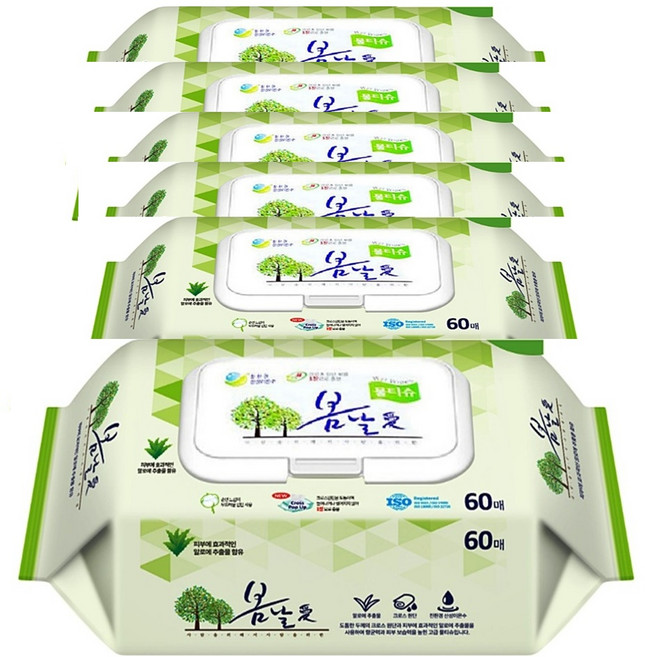 봄날애 물티슈 (요양원/요양병원용 대형사이즈), 6개, 60매, 120g