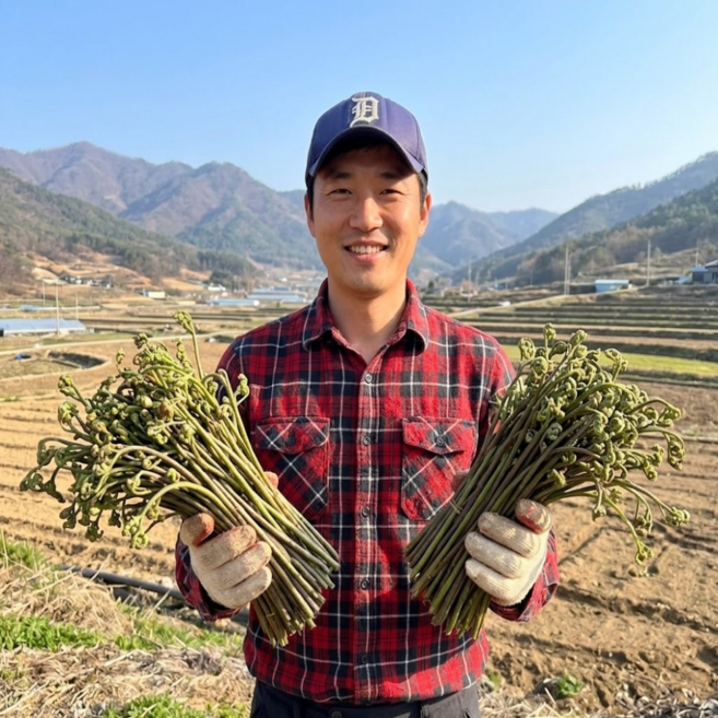 [재구매1위] 2026 국내산 생 고사리 햇 수확 산지직송, 1박스, 4kg