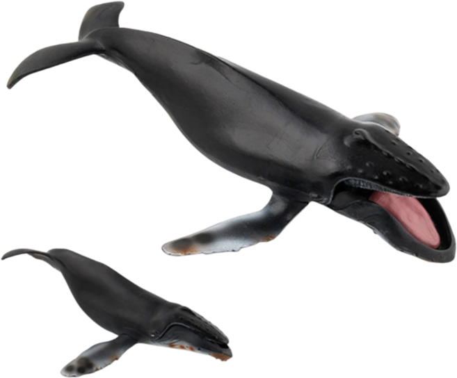 혹등 고래 피규어, 1개