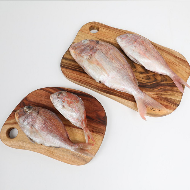 자갈치닷컴 냉동도미 도미, 24~27cm전후 5마리, 1개