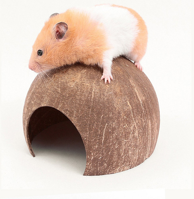 도치퀸 코코넛 은신처 햄스터 은신처(골든햄스터용), 1개, 혼합