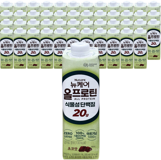 뉴케어 올프로틴 식물성단백질20g 초코맛 고단백 건강음료, 48개, 250ml