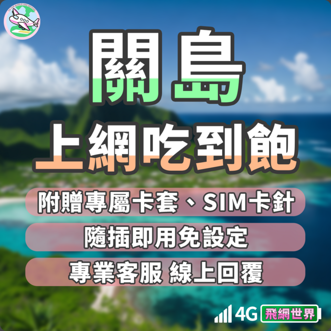 飛網世界 上網卡 免開通 4G吃到飽, 1個, 流量總共3GB, 12天