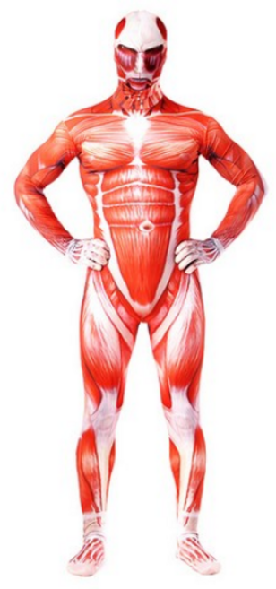 ZCBV 진격의 거인 코스튬의상 코스프레 수트 근육수트