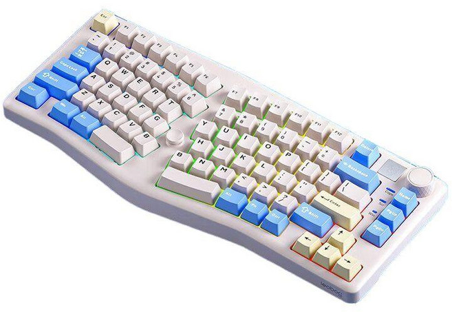 레오보그 A75 기계식키보드 인체공학 게이밍, 네., TTC 스피드 실버 축 V2, A75-블랙퍼플