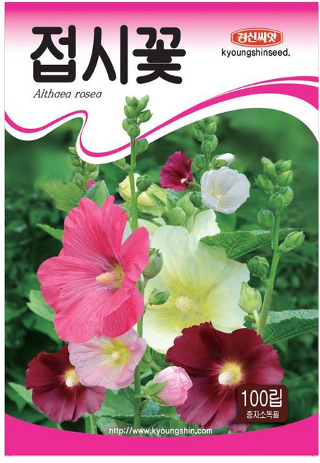경신종묘 접시꽃 씨앗 100립, 1개