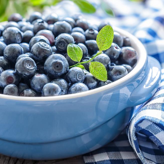 국내산 프리미엄 생 블루베리, 1세트, 1kg, 특과(16mm내외)10팩