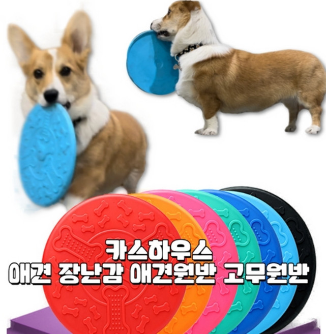 [CassHouse카스하우스] 강아지 원반 던지기 1+1 야외놀이 훈련 반려견원반, 블루[18cm]+(색상/사이즈)랜덤