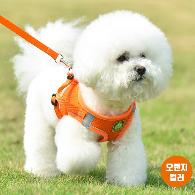 시선집중 소형견 하네스 견인줄 세트구성 원터치 버클, 1개, 오렌지