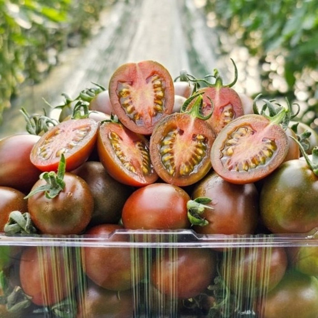 짭짤이 대저 흑대추방울토마토 500g, 2개