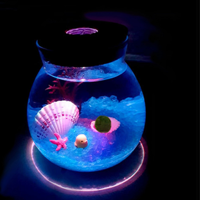 마리모 키우기 led 어항 350ml 마리모1cm포함 세트 재료, 1개, 파랑유리자갈(마리모1cm)