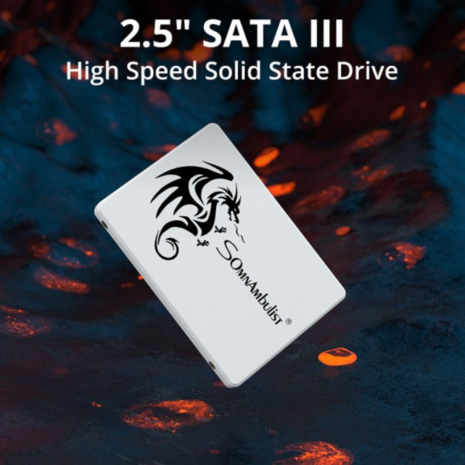 노트북 데스크탑 솔리드 스테이트 드라이브 Sata3 120GB 용 SomnAmbulist SSD 2.5 64GB 256GB, 01 64GB