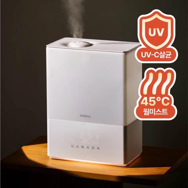 에어베리 웜히팅 가습기 룸미스트 복합식 살균 대용량 초음파 가열식 육아출산 가습기 6L, 스마트 룸미스트1개 - 쿠팡