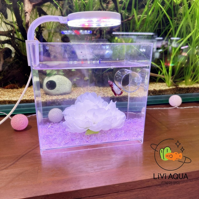 리비아쿠아 베타 꽃침대 플라스틱 미니어항세트, 블루, 3L, 1개